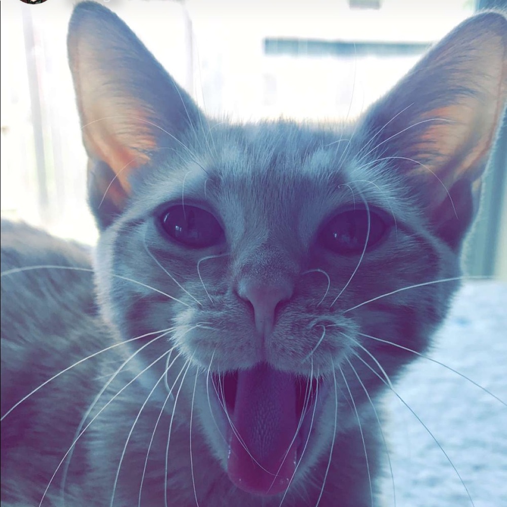 Meet your Posher, Danielle